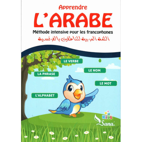 Learn Arabic: Intensive method for French speakers