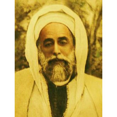 القديس الصوفي في القرن العشرين - الشيخ أحمد العلوي بعد مارتن لنجز