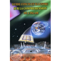 Concise and illustrated guide to understanding Islam on Librairie Sana