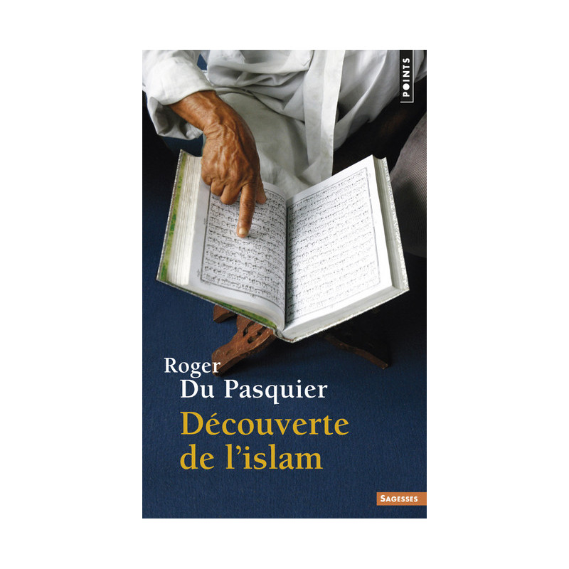 Discovery of Islam according to Roger Du Pasquier