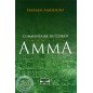 quran commentary (amma chapter)