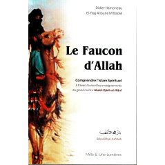 The Falcon of Allah - Understanding Spiritual Islam through the life and teachings of the great master Abdel-Qâdir-al-Jilânî