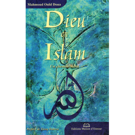 God in Islam: A journey according to Mahmoud Ould Doua