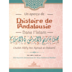 مجمل تاريخ الأندلس في الإسلام