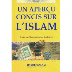A concise overview on Islam