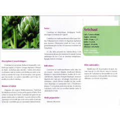 Medicinal plants from the Mediterranean and the Orient