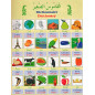 Learn the Arabic language - after Abdoul-Azize Dramé P1