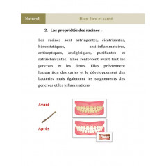 Siwak, a natural solution for oral hygiene according to Mahboubi Moussaoui