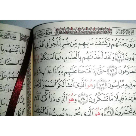 القرآن الكريم - حفص - The Noble Quran (Hafs) in Arabic, Medium Size 18X25, (RED)