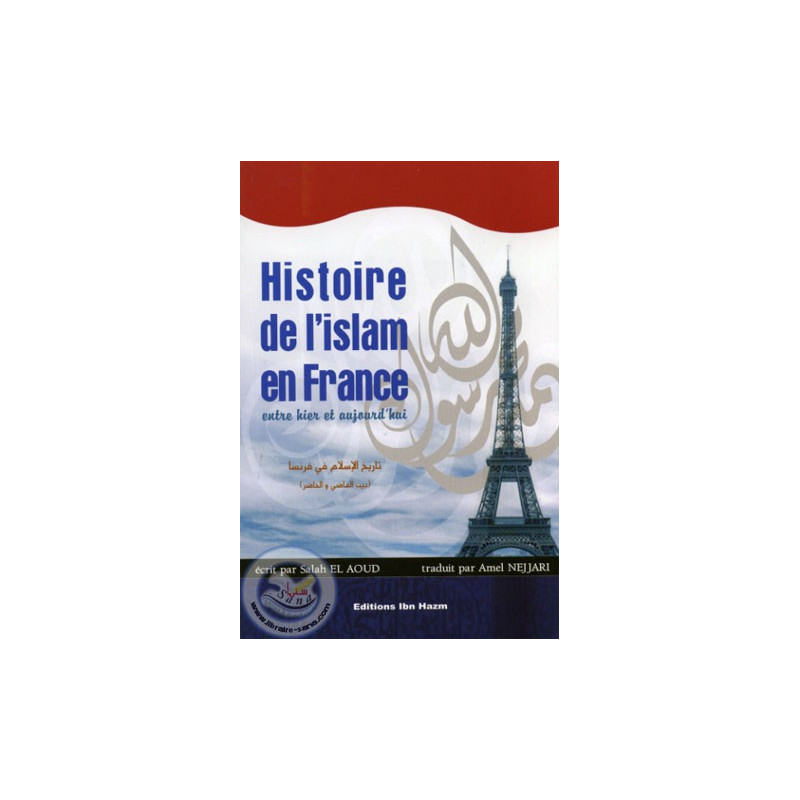 تاريخ الإسلام في فرنسا
