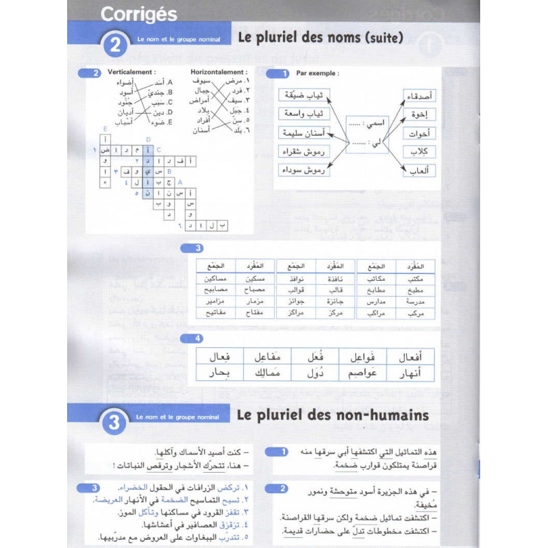 Arabe : Entraînement progressif en arabe, palier 1, 1re ...