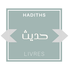 The Hadith - Book