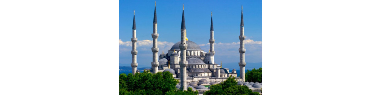 Turque : İslam Türkçe kitap