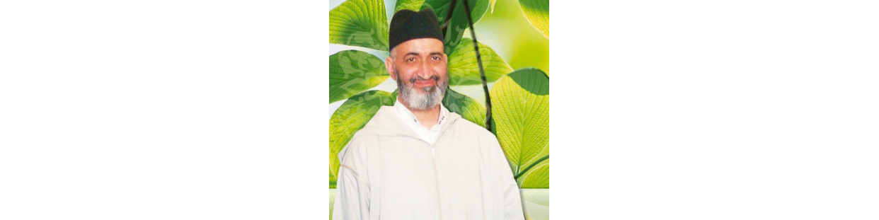 Farid al-Ansari